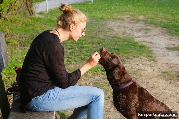 ku体育平台老客户充值优惠活动深度解析：如何最大化你的专属福利
